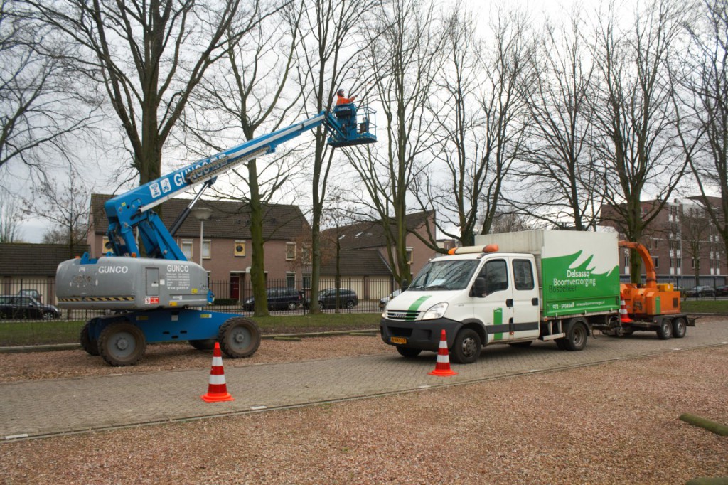 groenvoorziening Eindhoven door Delsasso Boomverzorging 